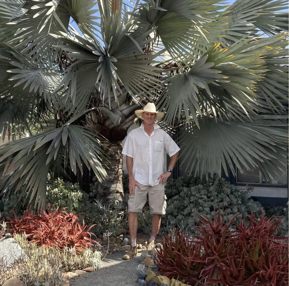 Affordable outdoor landscaping in San Diego, CA by Plants Comprehensive