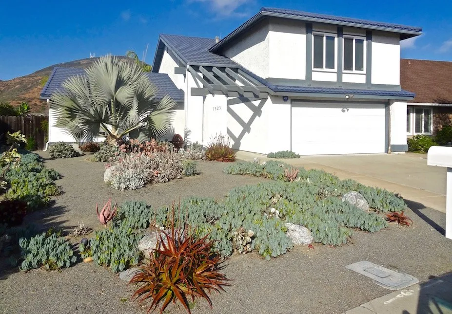 Top-rated yard maintenance in San Diego, CA - Plants Comprehensive