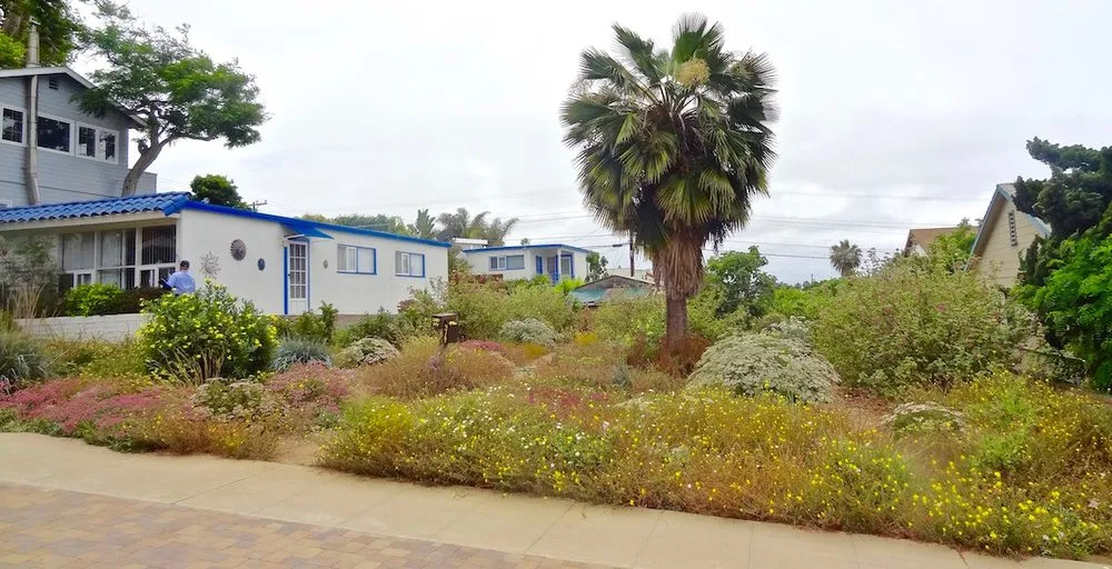 Top-rated lawn mowing service in San Diego, CA by Plants Comprehensive