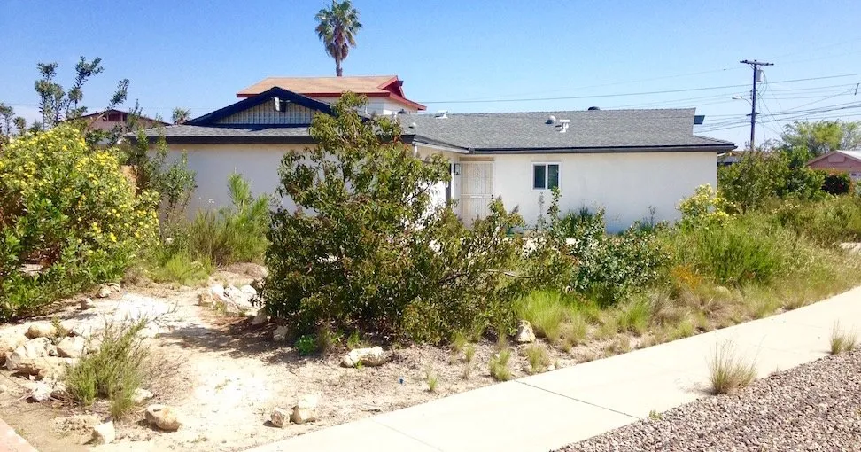 Trusted garden landscaping in San Diego, CA - Plants Comprehensive