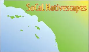 Professional outdoor landscaping experts serving San Diego, CA - Plants Comprehensive