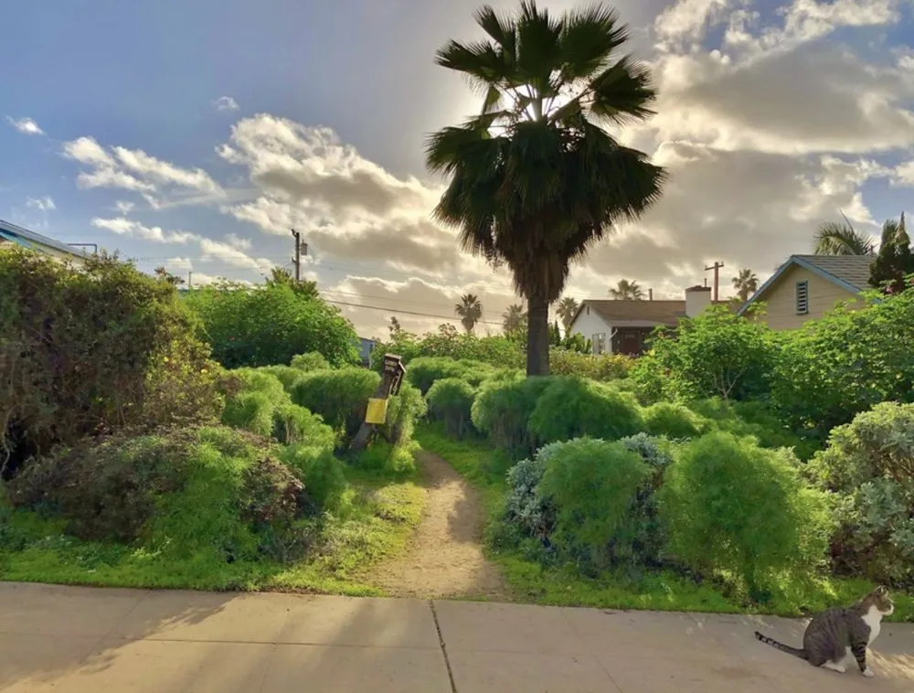 Affordable landscape installation near you across San Diego, CA - Plants Comprehensive