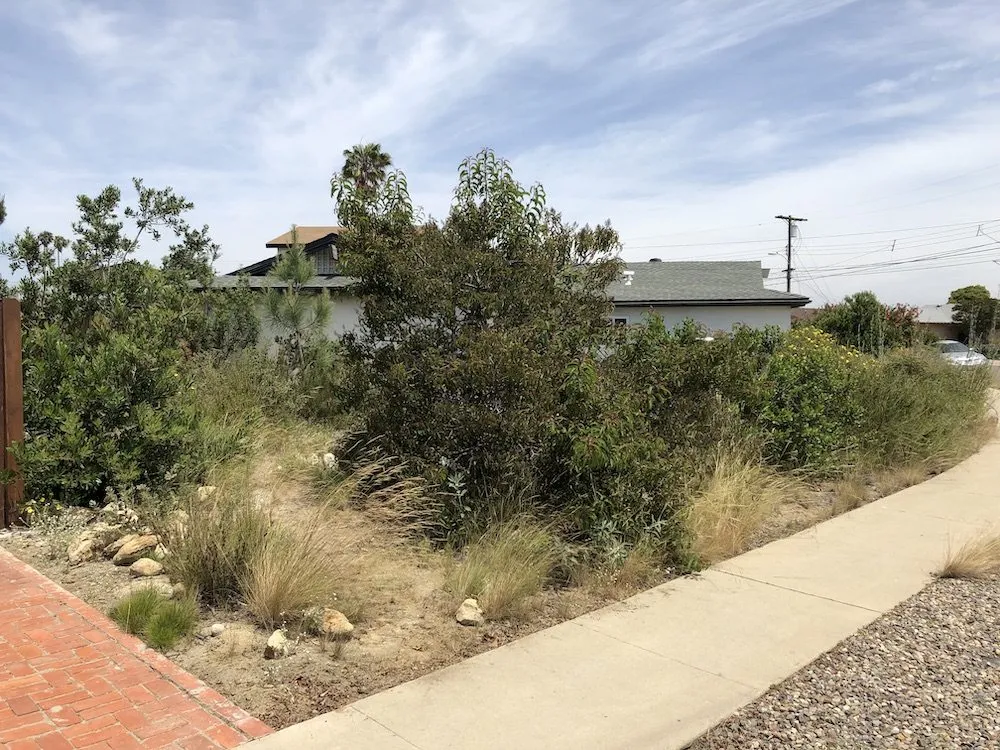 Reliable lawn mowing service in San Diego, CA by Plants Comprehensive