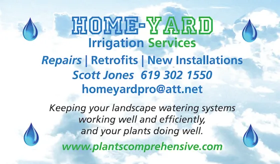 Reliable landscape design in San Diego, CA - Plants Comprehensive