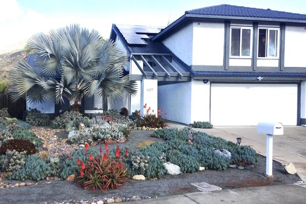 Professional lawn care service in San Diego, CA - Plants Comprehensive