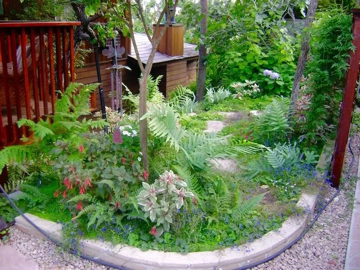 Affordable outdoor landscaping experts serving San Diego, CA - Plants Comprehensive