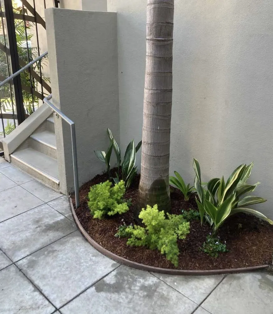 Local landscaping services in San Diego, CA by Plants Comprehensive