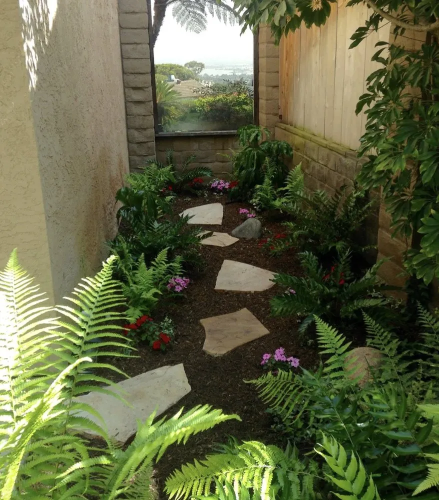 Local landscape installation for outdoor upgrades across San Diego, CA - Plants Comprehensive