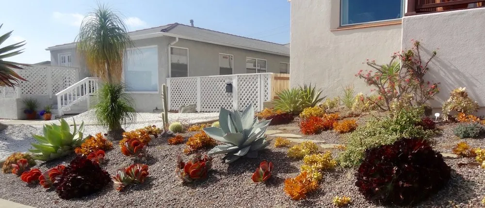 Top-rated landscape installation for year-round maintenance in San Diego, CA by Plants Comprehensive