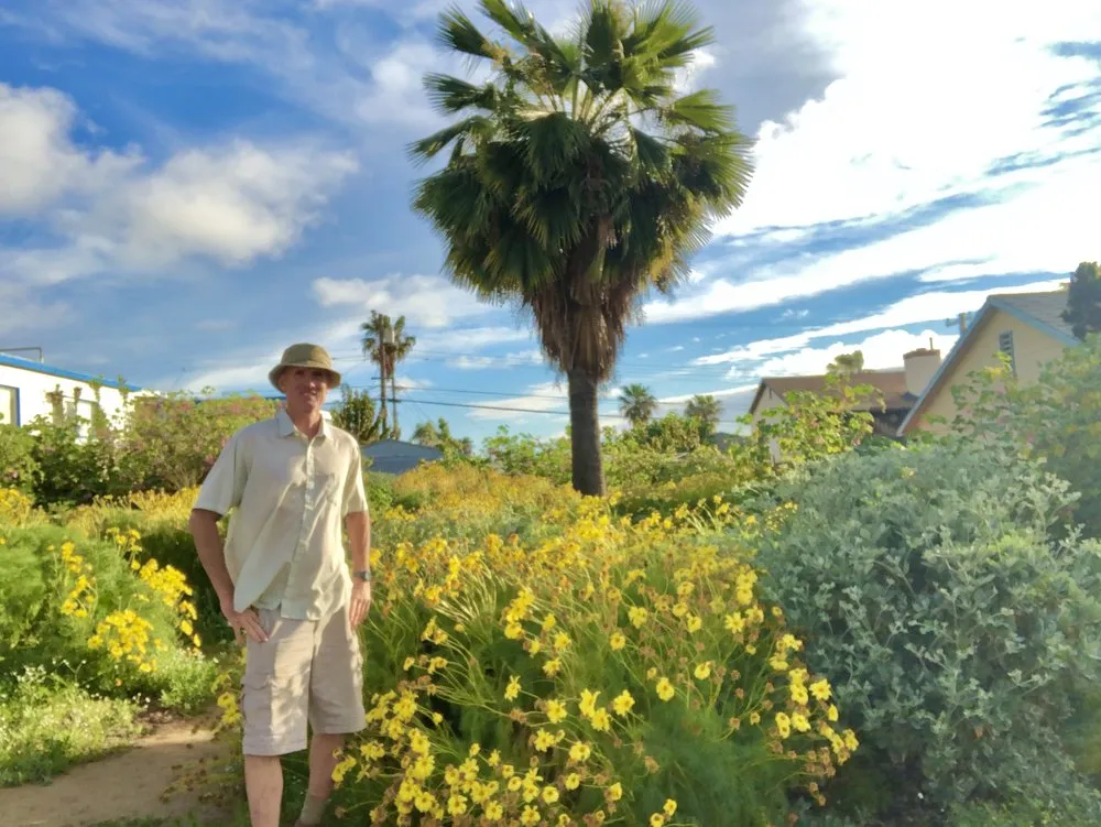 Professional landscape installation in San Diego, CA by Plants Comprehensive