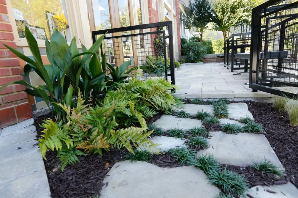 Trusted landscape design experts serving Scottdale, GA - Plants Creative Landscapes