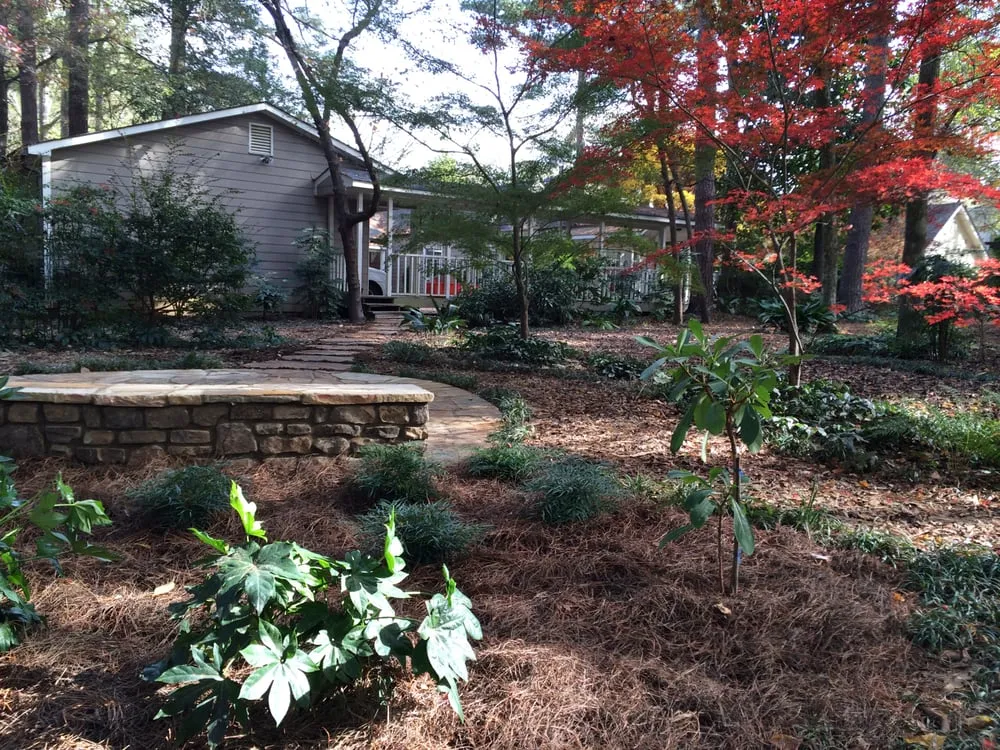Trusted yard maintenance in Scottdale, GA by Plants Creative Landscapes