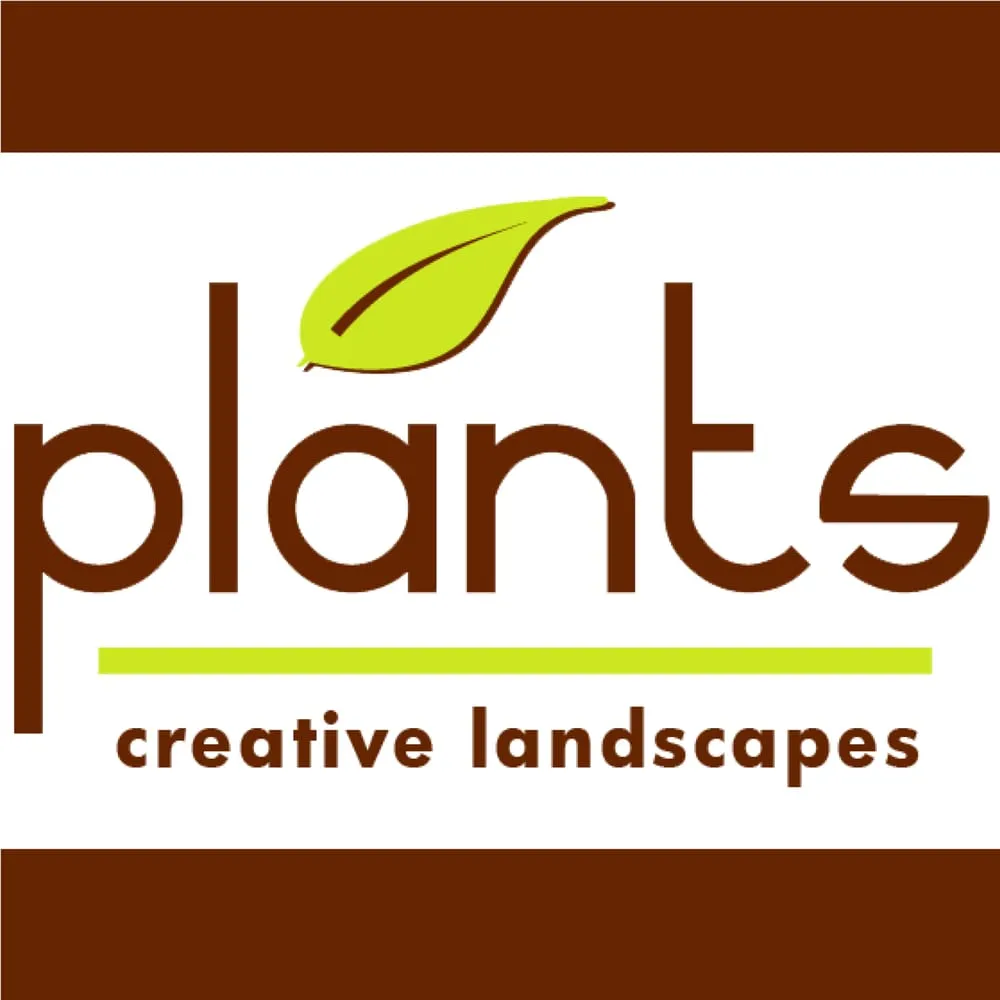 Reliable landscape installation for outdoor upgrades in Scottdale, GA by Plants Creative Landscapes