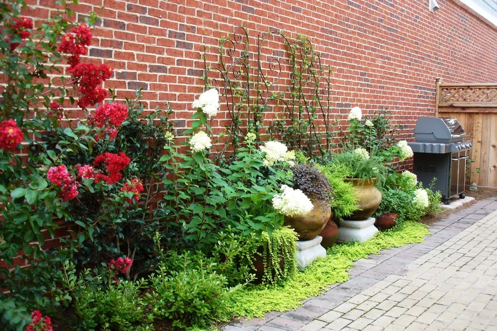 Local garden landscaping for homes across Scottdale, GA - Plants Creative Landscapes