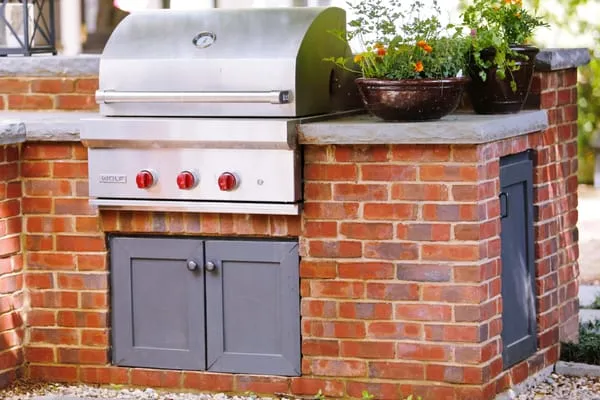 Plants Creative Landscapes