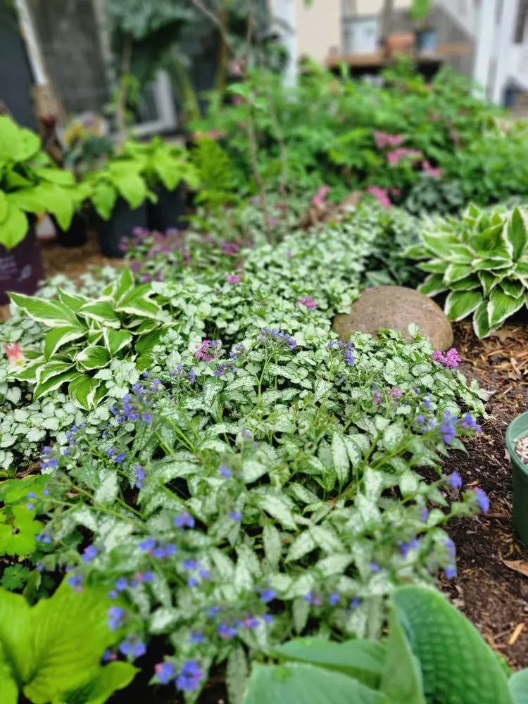 Top-rated garden landscaping near you across Greenwood, MO - Plants Like Mike