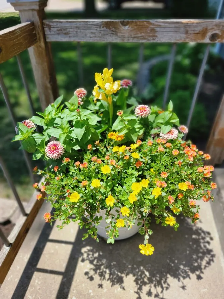 Top-rated lawn care service for year-round maintenance across Greenwood, MO - Plants Like Mike