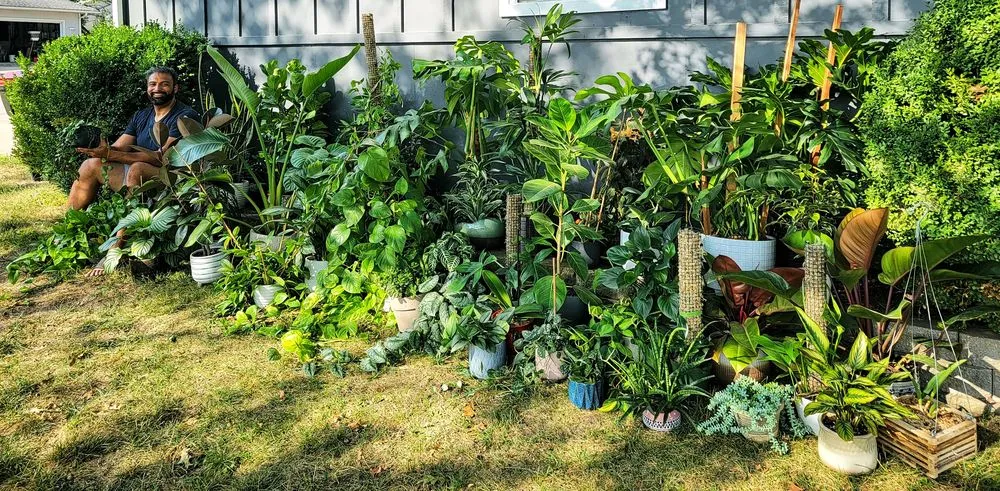 Expert landscape installation for residential properties across Greenwood, MO - Plants Like Mike