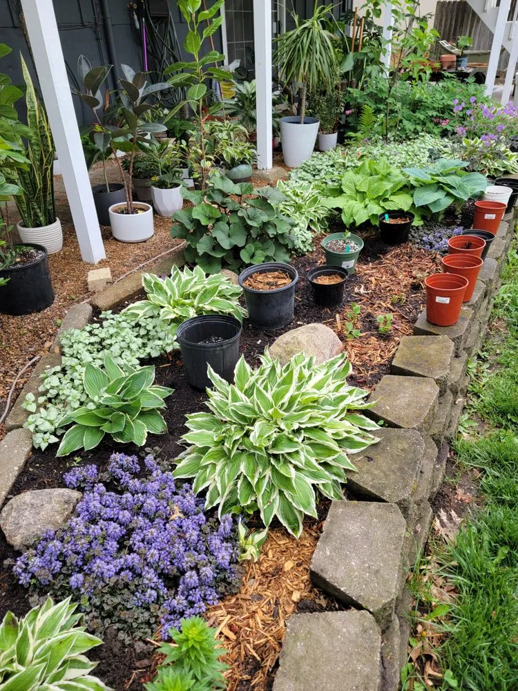 Expert yard maintenance experts serving Greenwood, MO - Plants Like Mike