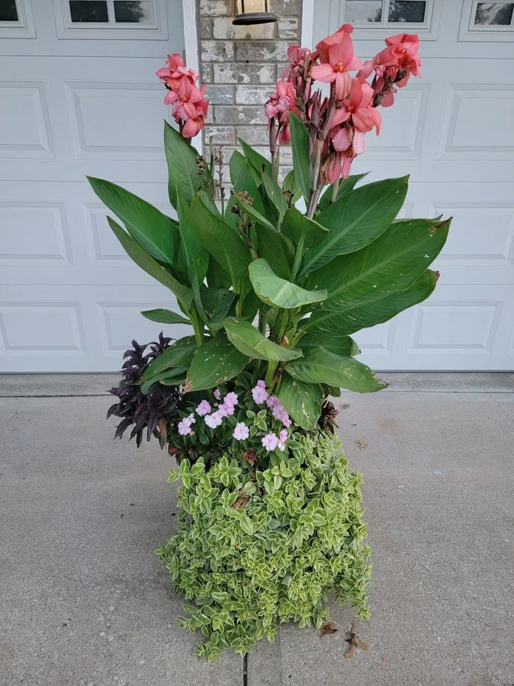 Expert yard cleanup service for year-round maintenance across Greenwood, MO - Plants Like Mike