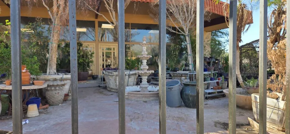 Trusted landscape design for outdoor upgrades across Tucson, AZ - Plants of Distinction