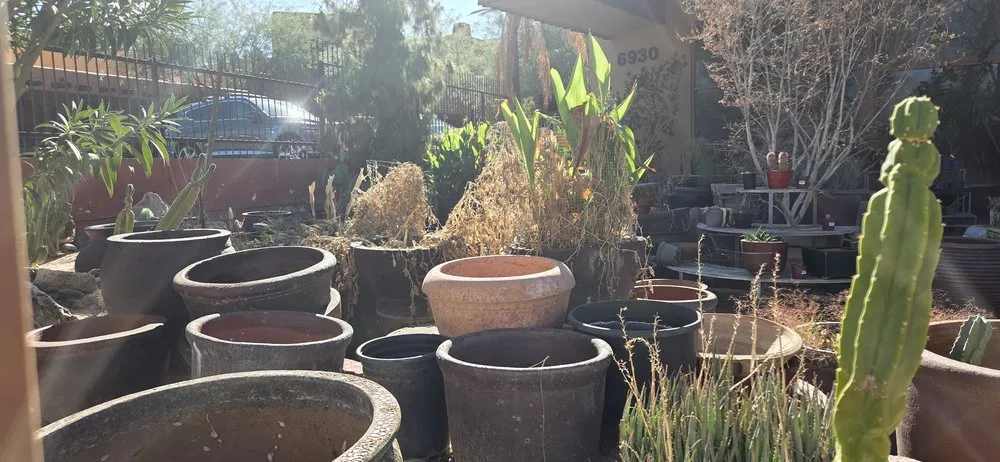 Expert landscape installation in Tucson, AZ by Plants of Distinction