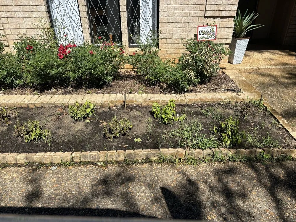 Professional landscape design in Flint, TX - Plants Of Texas