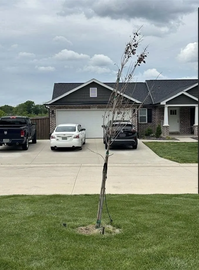 Affordable outdoor landscaping for year-round maintenance across Cape Girardeau, MO - Plants Plus