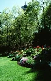 Local yard cleanup service in Durham, NC by Plants Unlimited