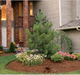 Professional landscaping services in Durham, NC - Plants Unlimited