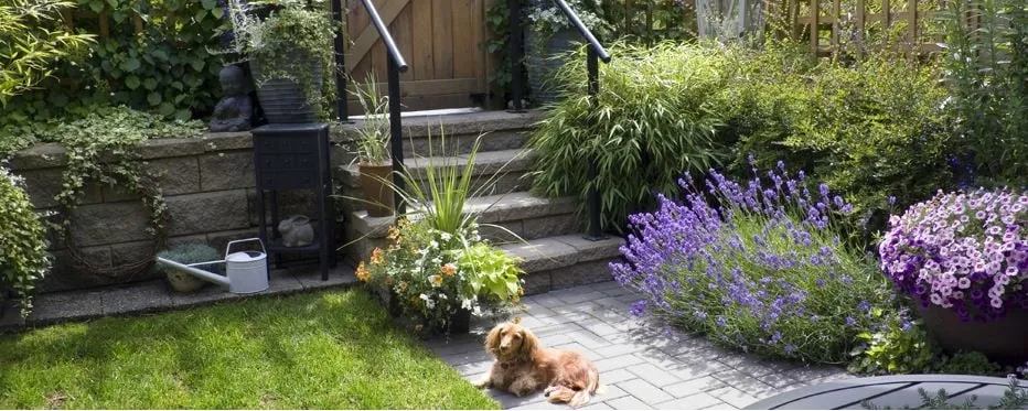 Reliable yard cleanup service for homes across Durham, NC - Plants Unlimited