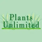 Professional yard cleanup service for beautiful yards in Durham, NC by Plants Unlimited