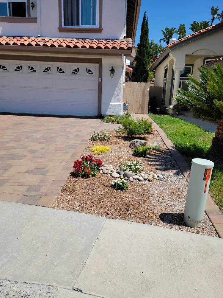 Reliable yard cleanup service in Oceanside, CA by Plantscape