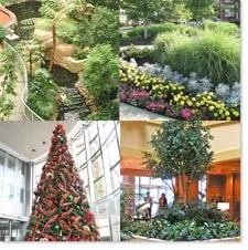 Affordable residential landscaping in Pittsburgh, PA - Plantscape