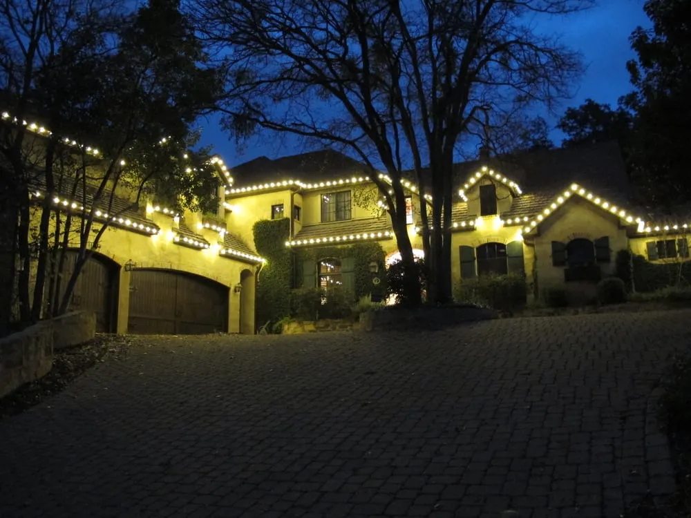 Affordable yard cleanup service for residential properties in Austin, TX by Plantscape Solutions