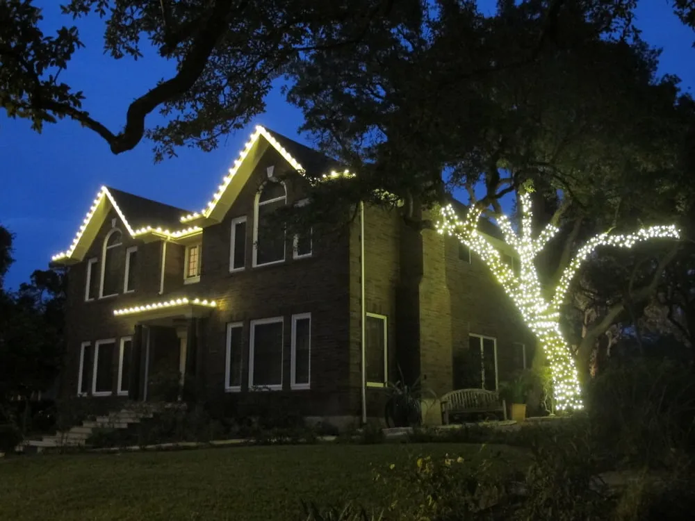 Local outdoor landscaping for year-round maintenance in Austin, TX by Plantscape Solutions