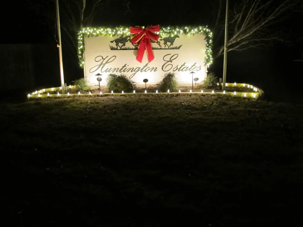 Top-rated yard cleanup service in Austin, TX - Plantscape Solutions