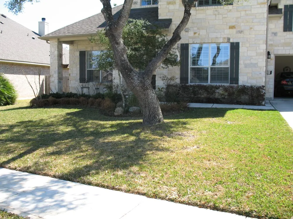 Affordable lawn care service in Austin, TX by Plantscape Solutions