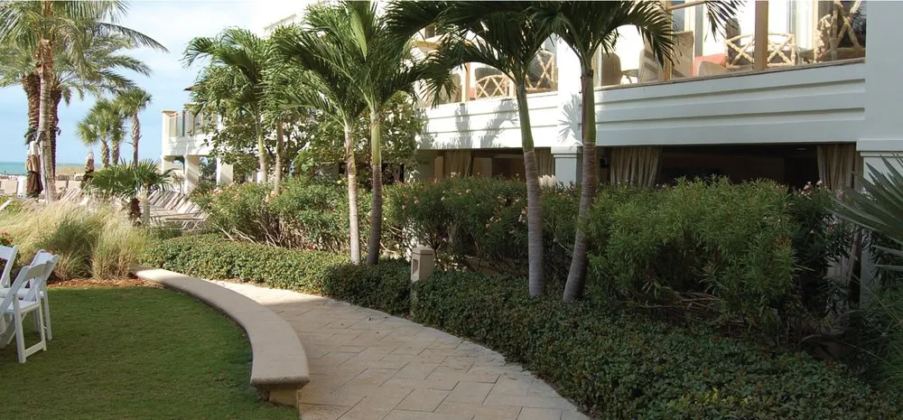 Custom yard cleanup service with custom design in Orlando, FL by Plantz