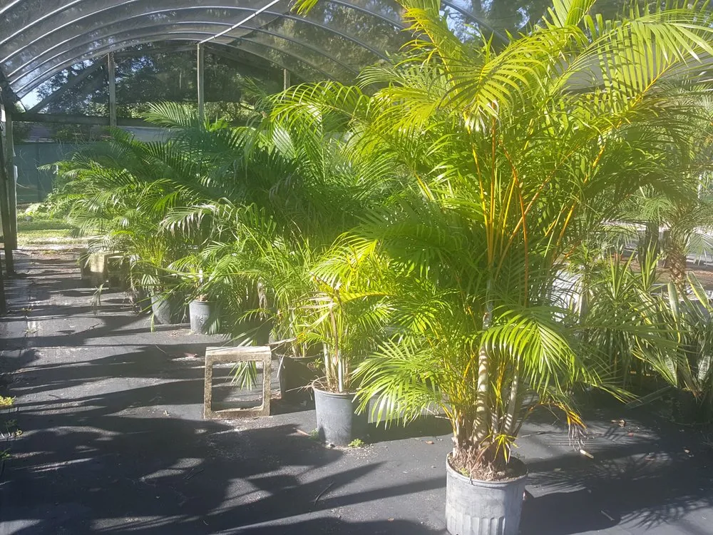 Trusted garden landscaping in Orlando, FL - Plantz