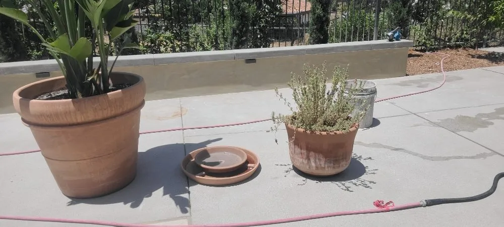 Reliable yard cleanup service in Escondido, CA by Plaster & Lath