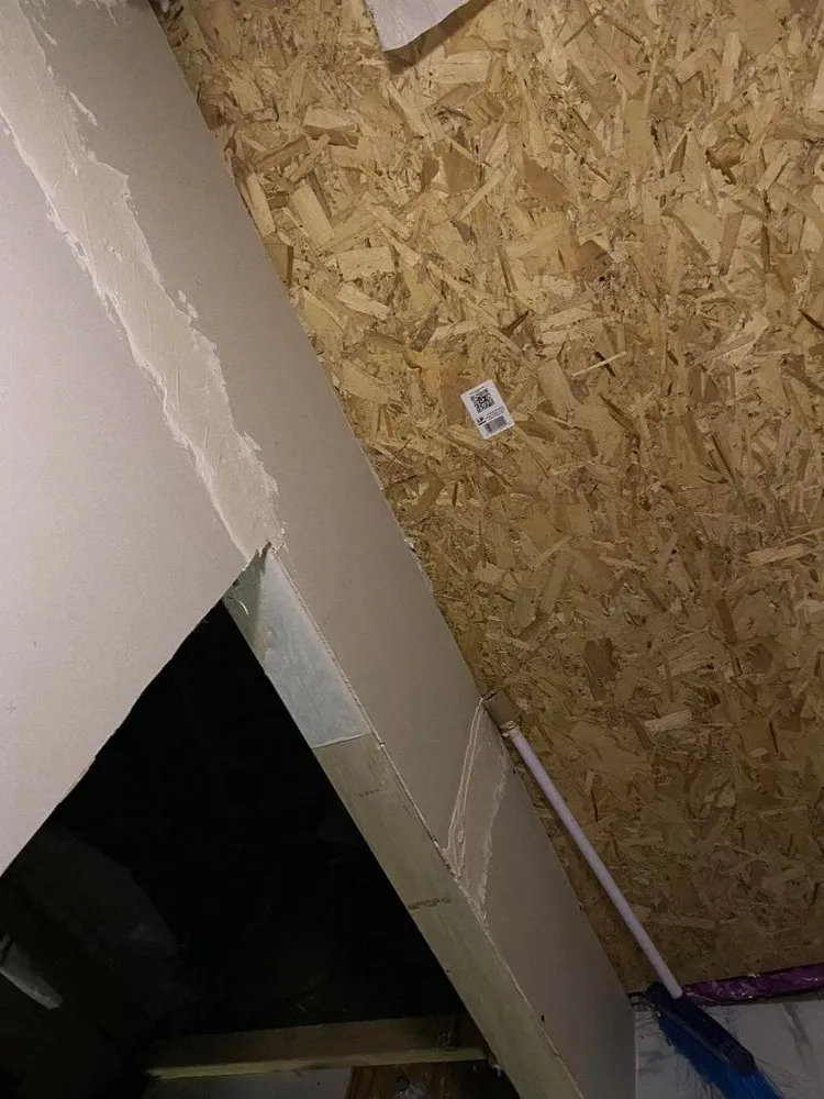 Trusted yard cleanup service experts serving Kansas City, MO - Plaster pro’s