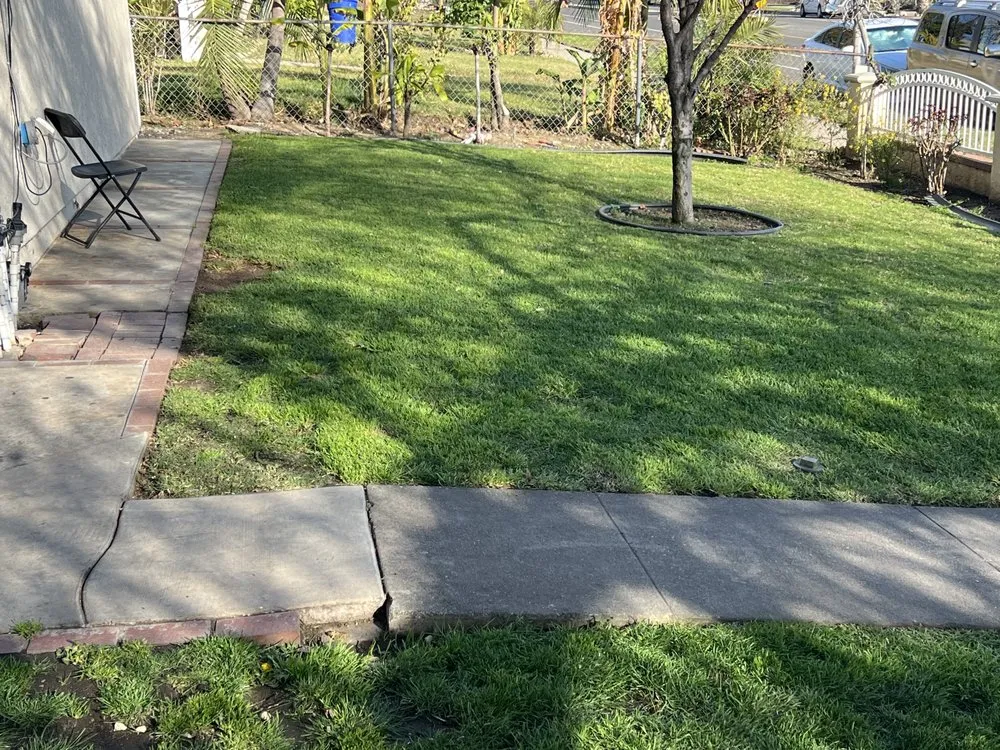 Affordable lawn mowing service in Pomona, CA - Plata Landscaping