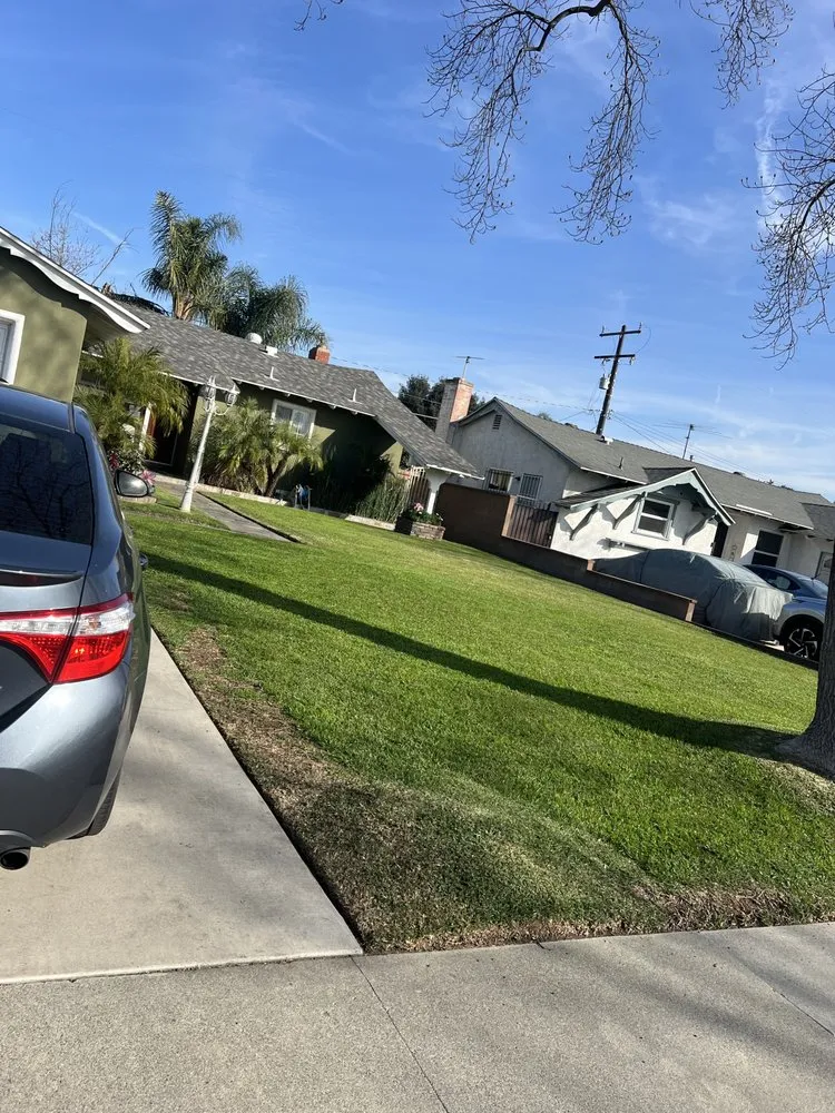Trusted yard cleanup service in Pomona, CA - Plata Landscaping
