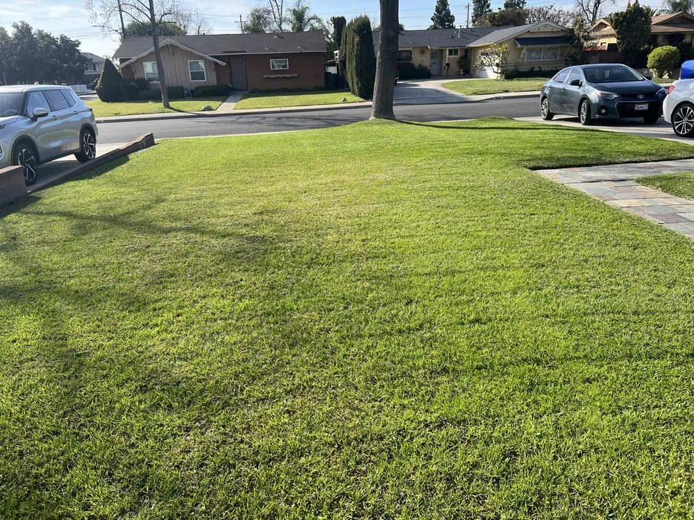 Expert landscaping services in Pomona, CA - Plata Landscaping