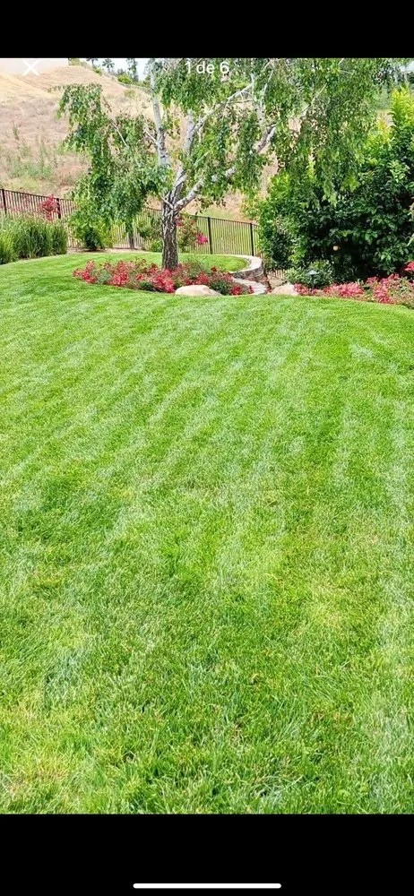 Professional outdoor landscaping in Pomona, CA by Plata Landscaping