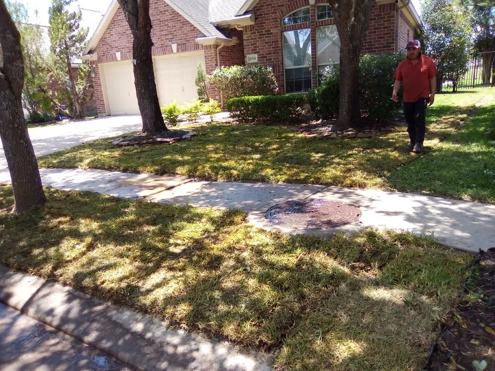 Top-rated yard maintenance with custom design in Houston, TX by Plata Sprinklers