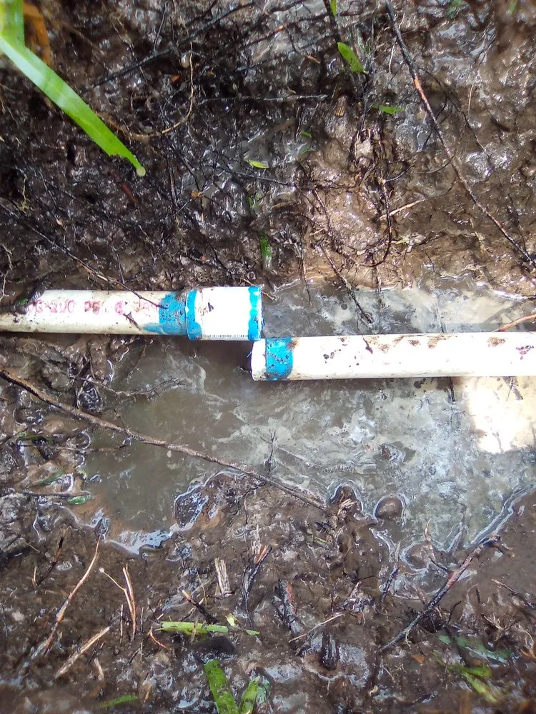 Professional landscape design for year-round maintenance across Houston, TX - Plata Sprinklers