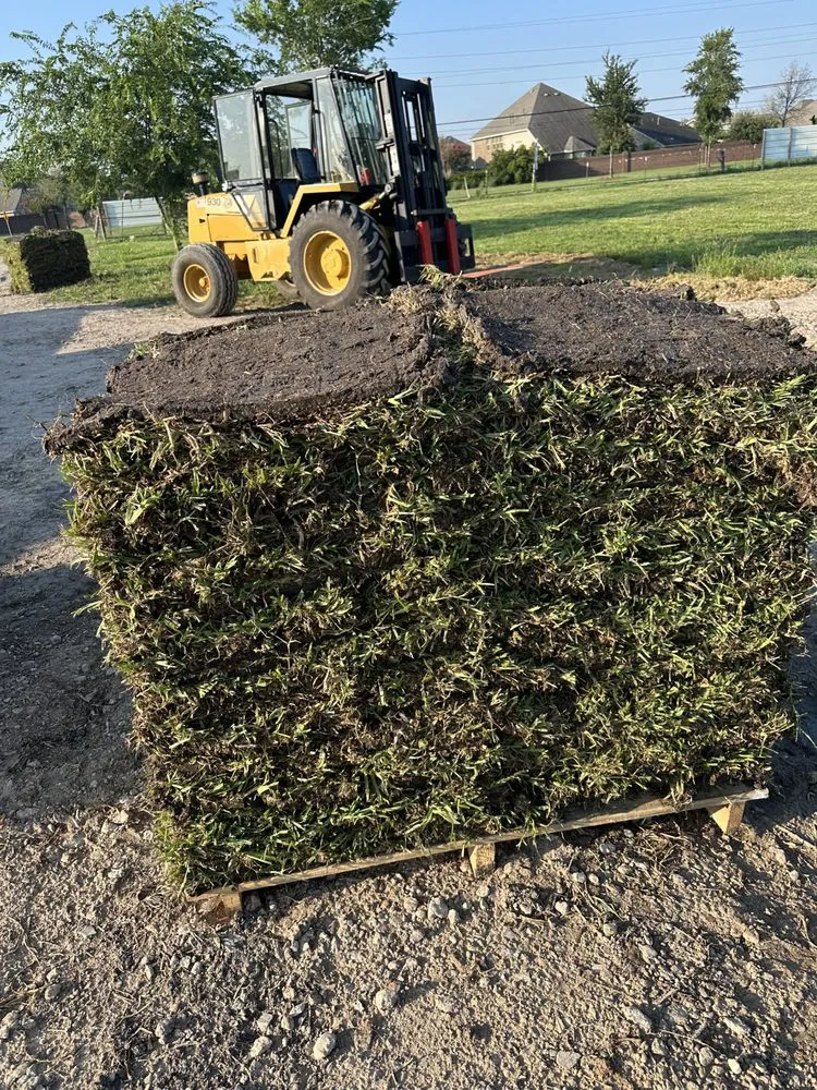 Local landscape design in Richmond, TX - Platinum 36 Grass & Installation