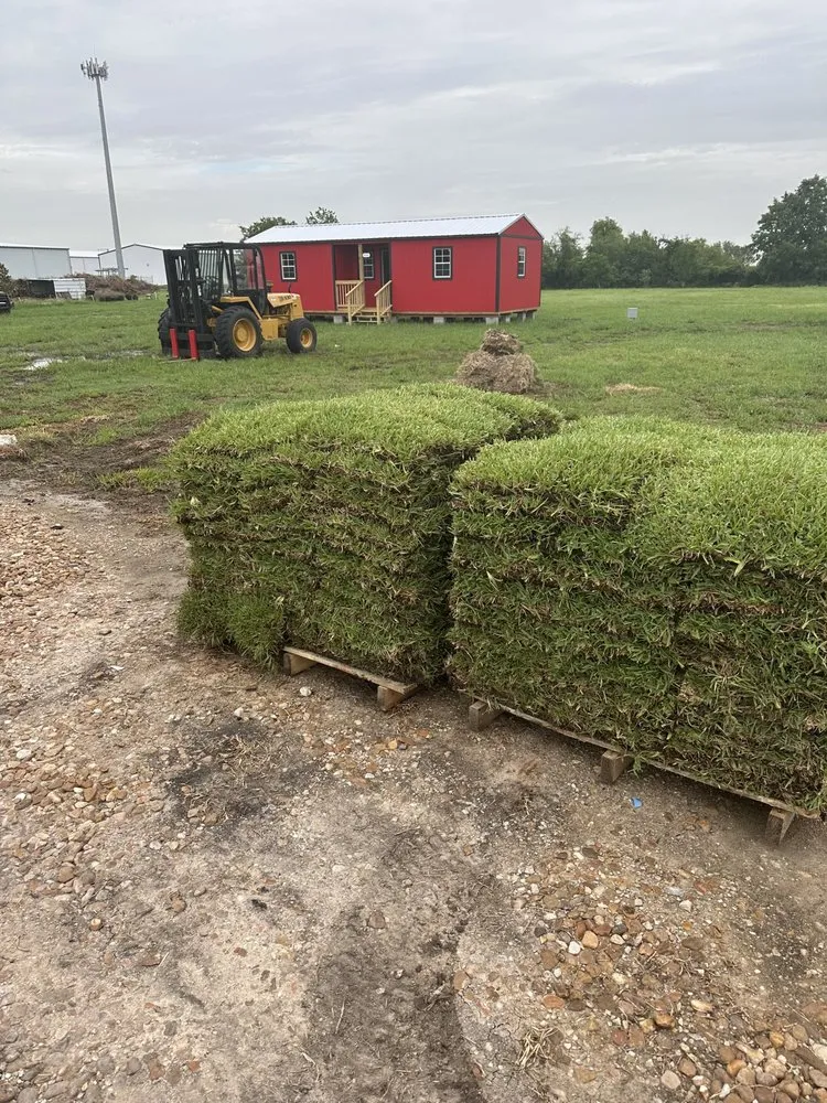 Top-rated residential landscaping in Richmond, TX - Platinum 36 Grass & Installation